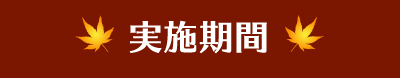 実施期間