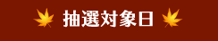 抽選対象日