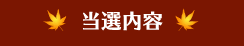 当選内容