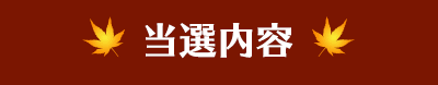 当選内容