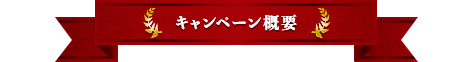 キャンペーン概要