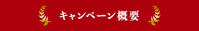 キャンペーン概要
