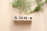 SDGs